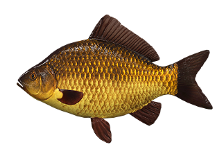 karas.png